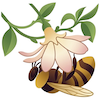 Ipswich & East Suffolk Beekeepers' Association